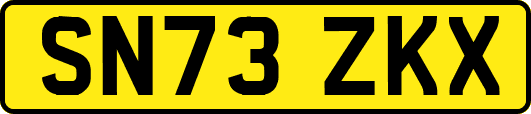 SN73ZKX