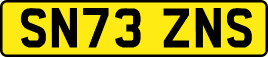 SN73ZNS