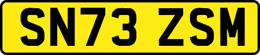 SN73ZSM