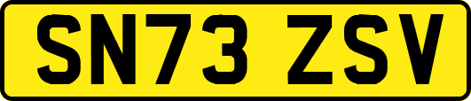 SN73ZSV