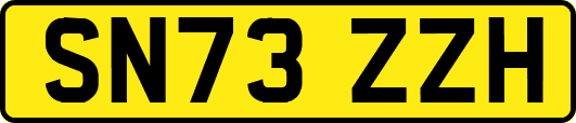 SN73ZZH