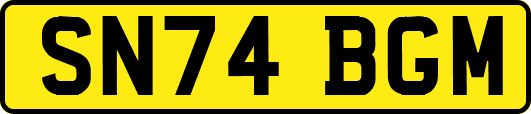 SN74BGM