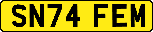 SN74FEM