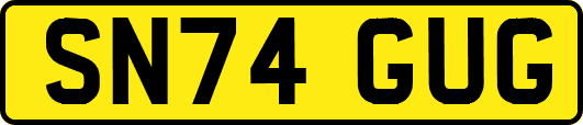 SN74GUG
