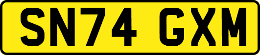 SN74GXM