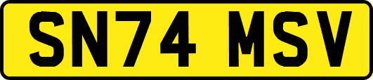 SN74MSV