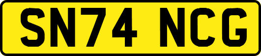 SN74NCG