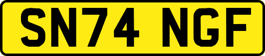 SN74NGF