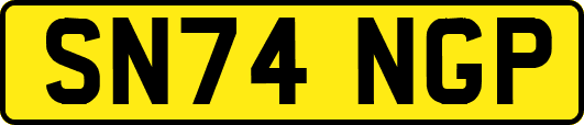 SN74NGP