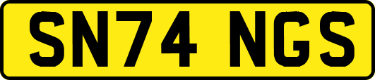 SN74NGS