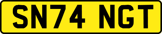 SN74NGT