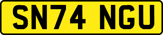 SN74NGU