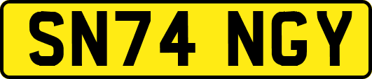 SN74NGY