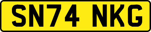 SN74NKG