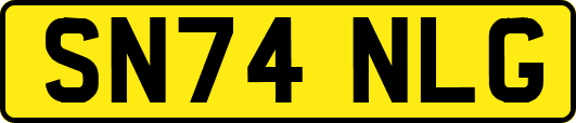 SN74NLG