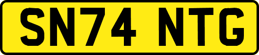 SN74NTG