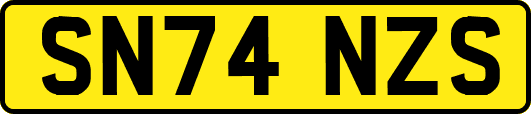SN74NZS