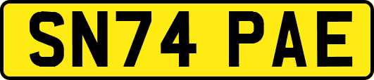 SN74PAE