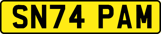 SN74PAM