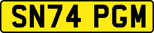 SN74PGM