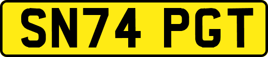 SN74PGT