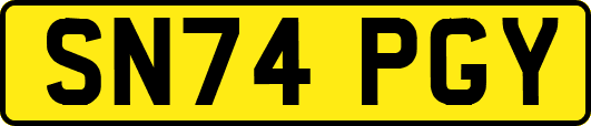 SN74PGY