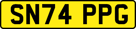 SN74PPG