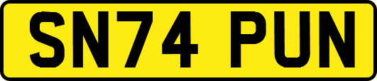 SN74PUN