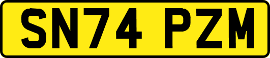 SN74PZM