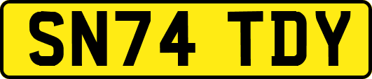 SN74TDY