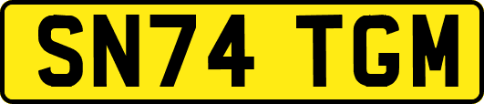 SN74TGM