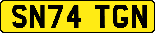 SN74TGN