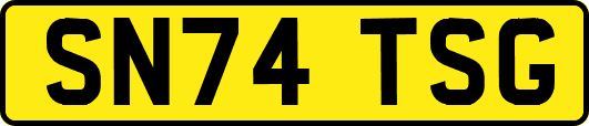 SN74TSG