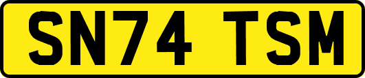 SN74TSM