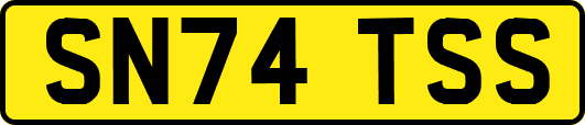 SN74TSS
