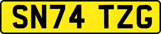 SN74TZG