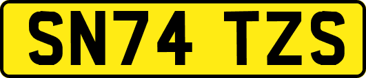 SN74TZS