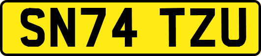 SN74TZU