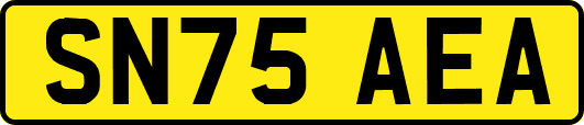 SN75AEA