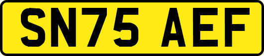 SN75AEF