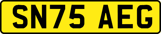 SN75AEG