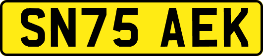 SN75AEK