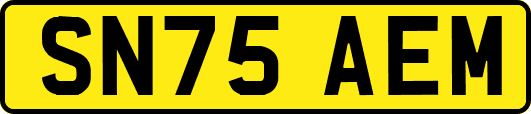 SN75AEM