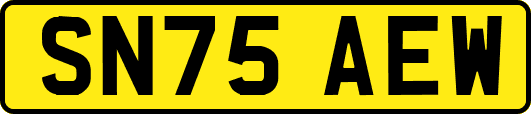 SN75AEW