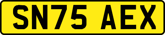 SN75AEX