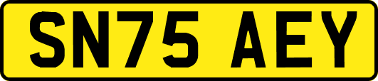 SN75AEY