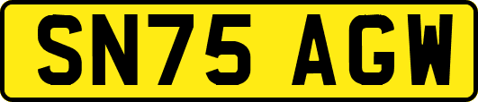 SN75AGW