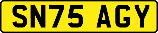 SN75AGY