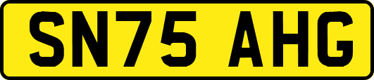 SN75AHG