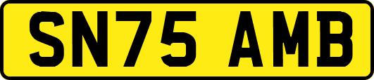 SN75AMB